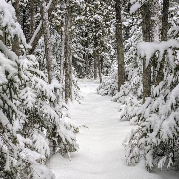 Things to Do Presque Isle Township